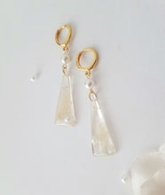 Load image into Gallery viewer, Pampas-Grass Resin Earrings