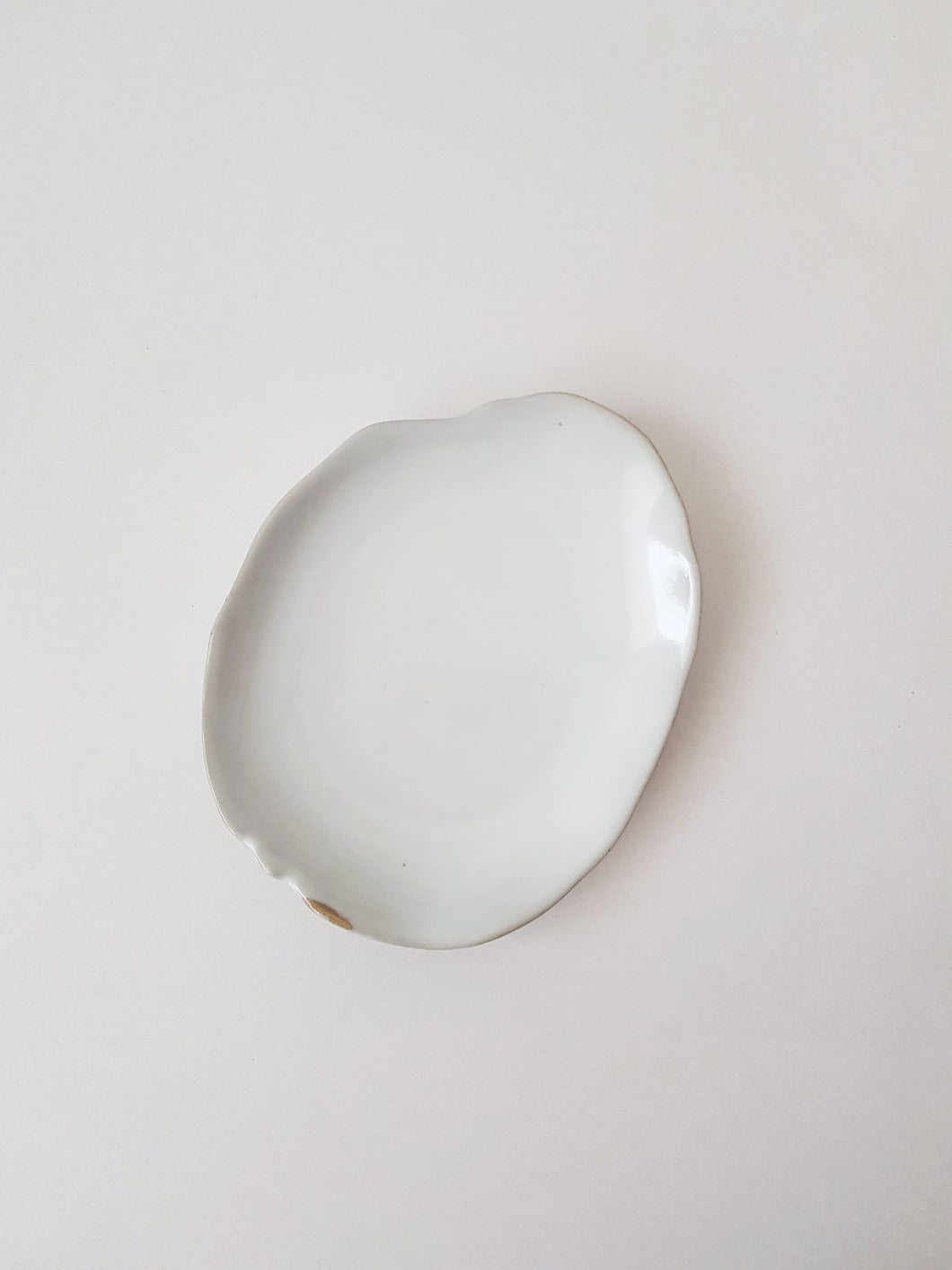 Glazed Ceramic Dinnerware Plates, Irregular Shape