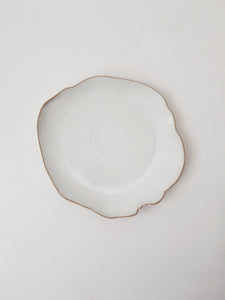 Glazed Ceramic Dinnerware Plates, Irregular Shape