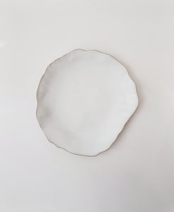 Glazed Ceramic Dinnerware Plates, Irregular Shape